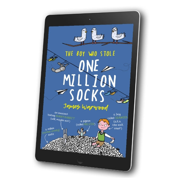 The Boy Who Stole One Million Socks (eBook)
